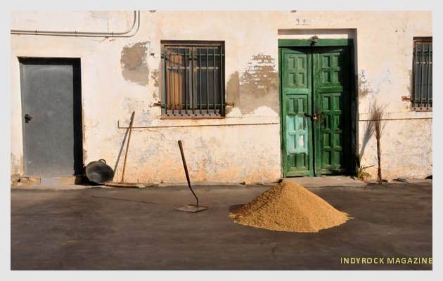 albufera-arrozales-fotogaleria12