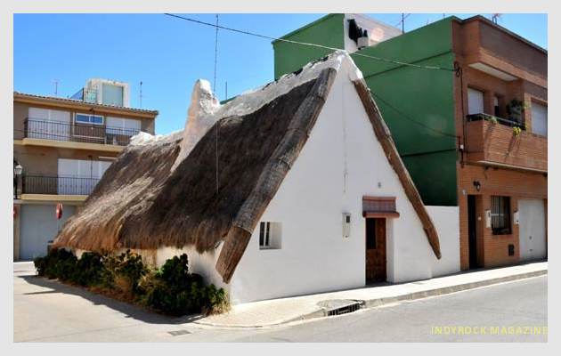 albufera-arrozales-fotogaleria16