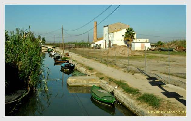 albufera-arrozales-fotogaleria2