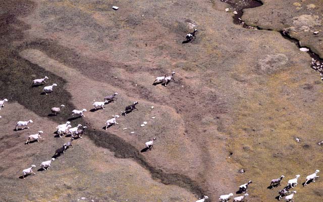 sierranevada-lagunas-fotogaleria8