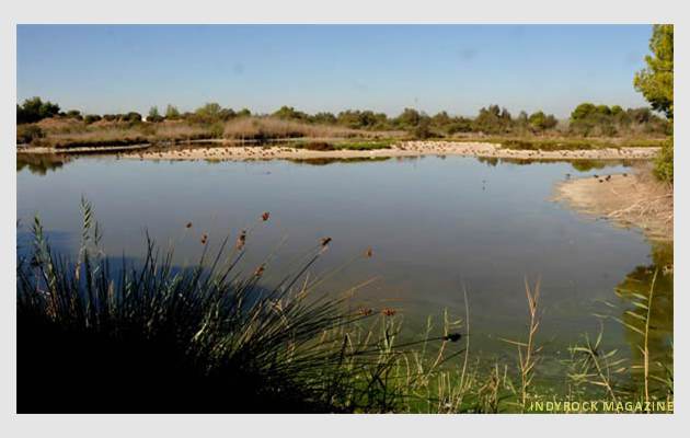 albufera-lagunas-fotogaleria1