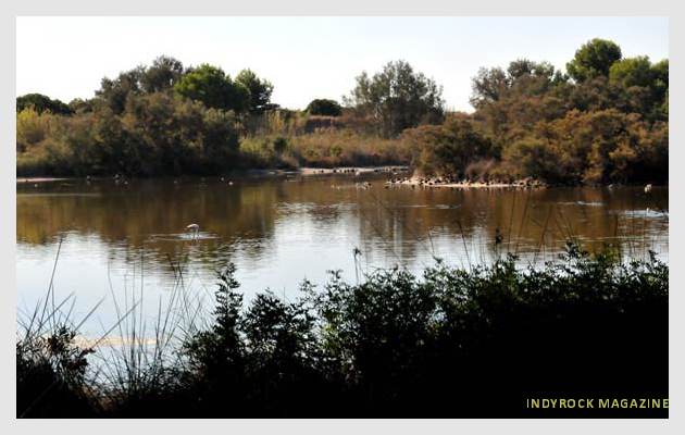 albufera-lagunas-fotogaleria12