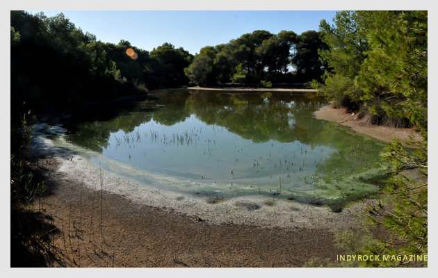 albufera-lagunas-fotogaleria13