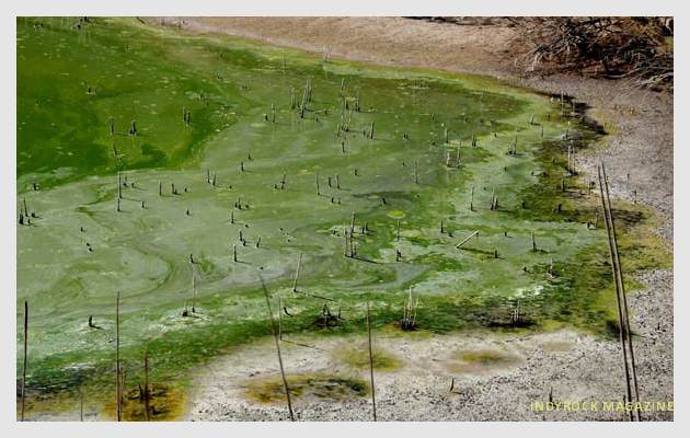 albufera-lagunas-fotogaleria16