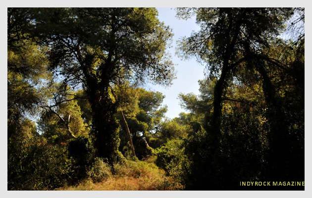 albufera-lagunas-fotogaleria17