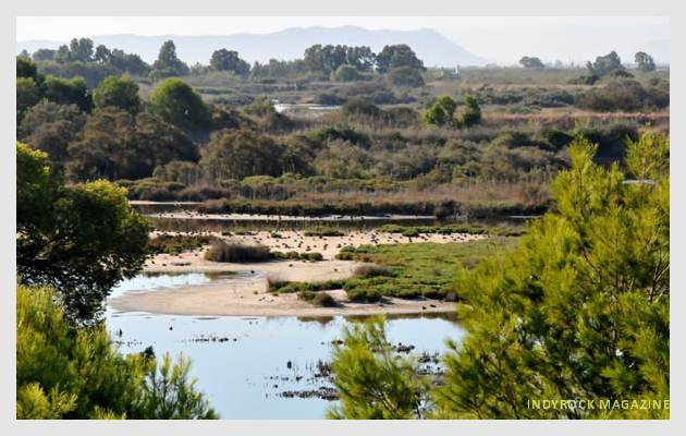 albufera-lagunas-fotogaleria2