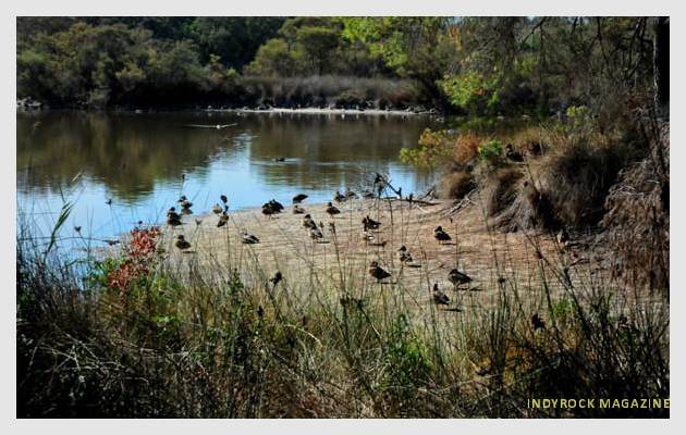 albufera-lagunas-fotogaleria8