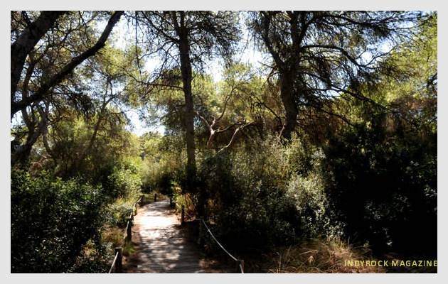 albufera-lagunas-fotogaleria9
