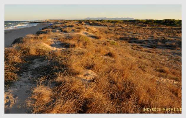 albufera-playaydunas-fotogaleria1