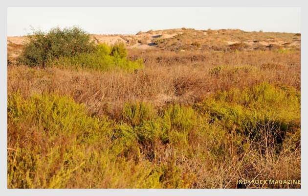albufera-playaydunas-fotogaleria10