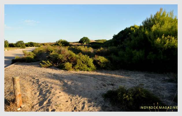 albufera-playaydunas-fotogaleria11