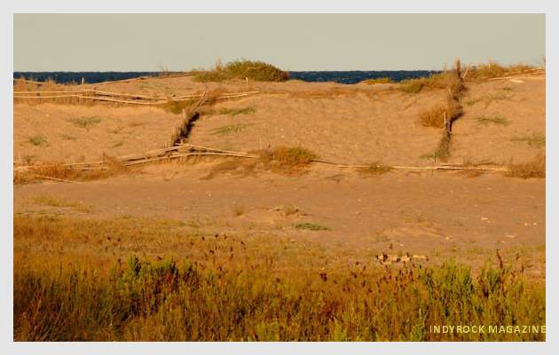 albufera-playaydunas-fotogaleria17