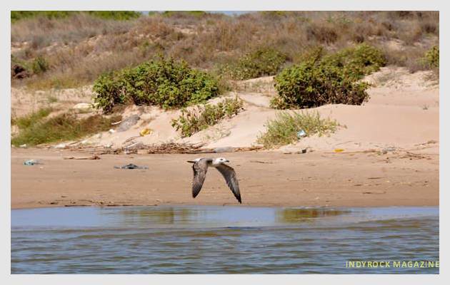 albufera-playaydunas-fotogaleria2