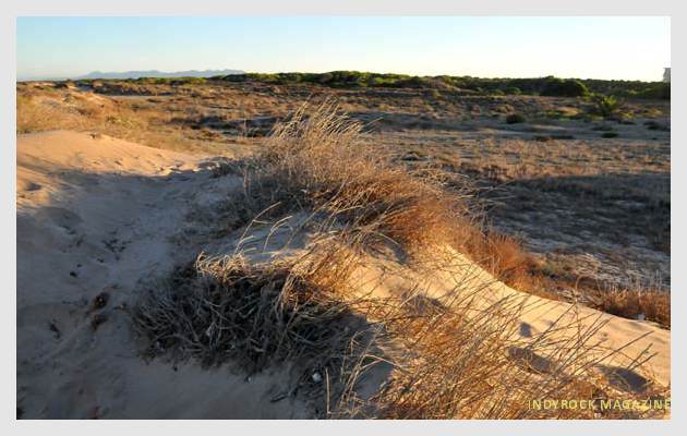 albufera-playaydunas-fotogaleria3
