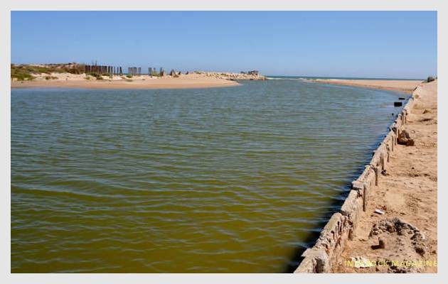 albufera-playaydunas-fotogaleria4