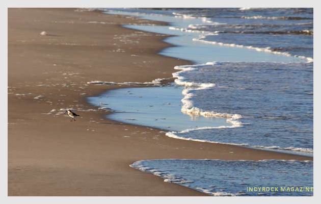 albufera-playaydunas-fotogaleria7