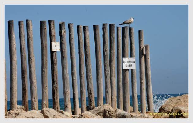 albufera-playaydunas-fotogaleria8