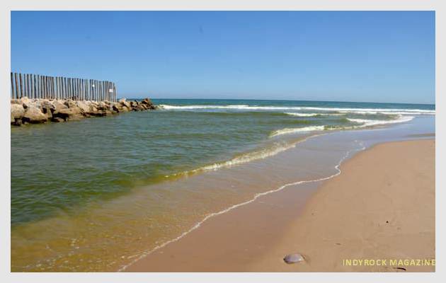 albufera-playaydunas-fotogaleria9