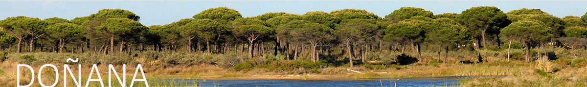 Parque Nacional de Doñana