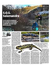 Reportaje publicado en IDEAL el 25 de junio de 2013