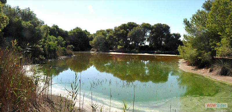 ALBUFERA DE VALENCIA