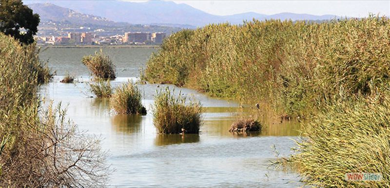 ALBUFERA DE VALENCIA