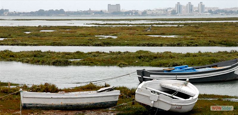 BAHÍA DE CÁDIZ