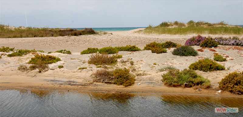 BAHÍA DE CÁDIZ