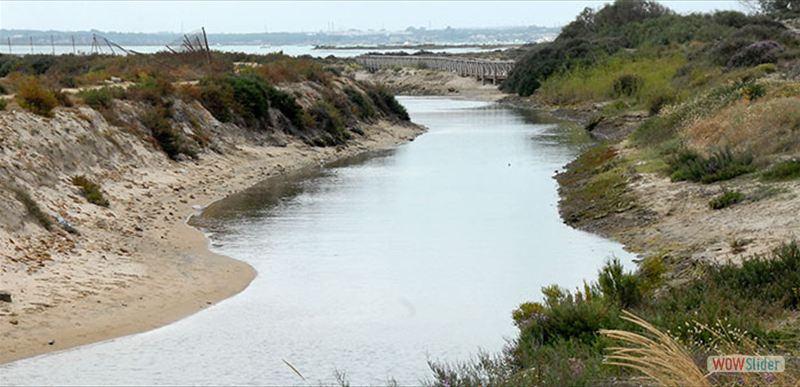 BAHÍA DE CÁDIZ