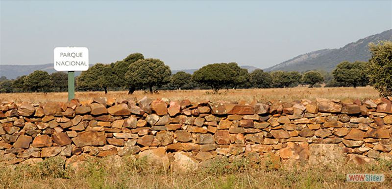 PARQUE NACIONAL DE CABAÑEROS
