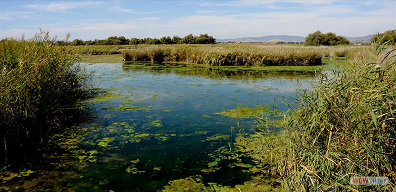 PARQUE NACIONAL TABLAS DE DAIMIEL