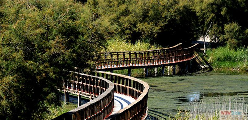PARQUE NACIONAL TABLAS DE DAIMIEL