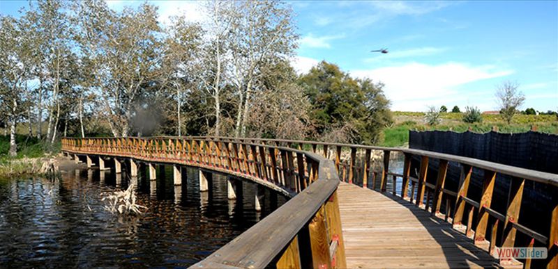 PARQUE NACIONAL TABLAS DE DAIMIEL
