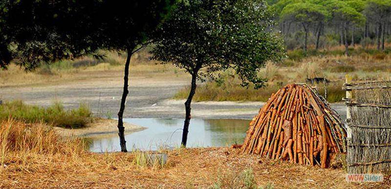 PARQUE NACIONAL DE DOÑANA