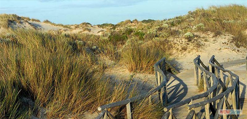 PARQUE NACIONAL DE DOÑANA