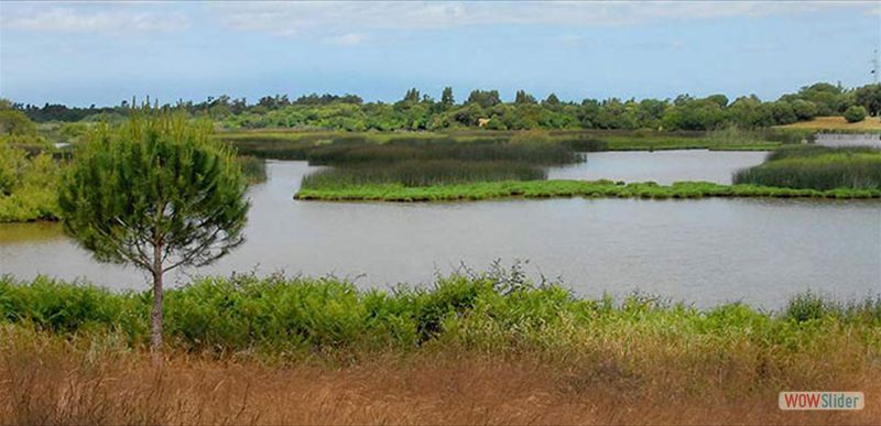 PARQUE NACIONAL DE DOÑANA