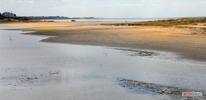 MARISMAS DE ISLA CRISTINA
