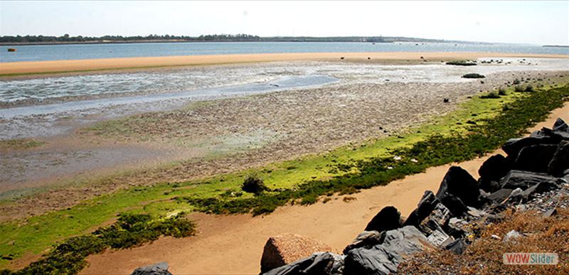 MARISMAS DE HUELVA * SALINAS