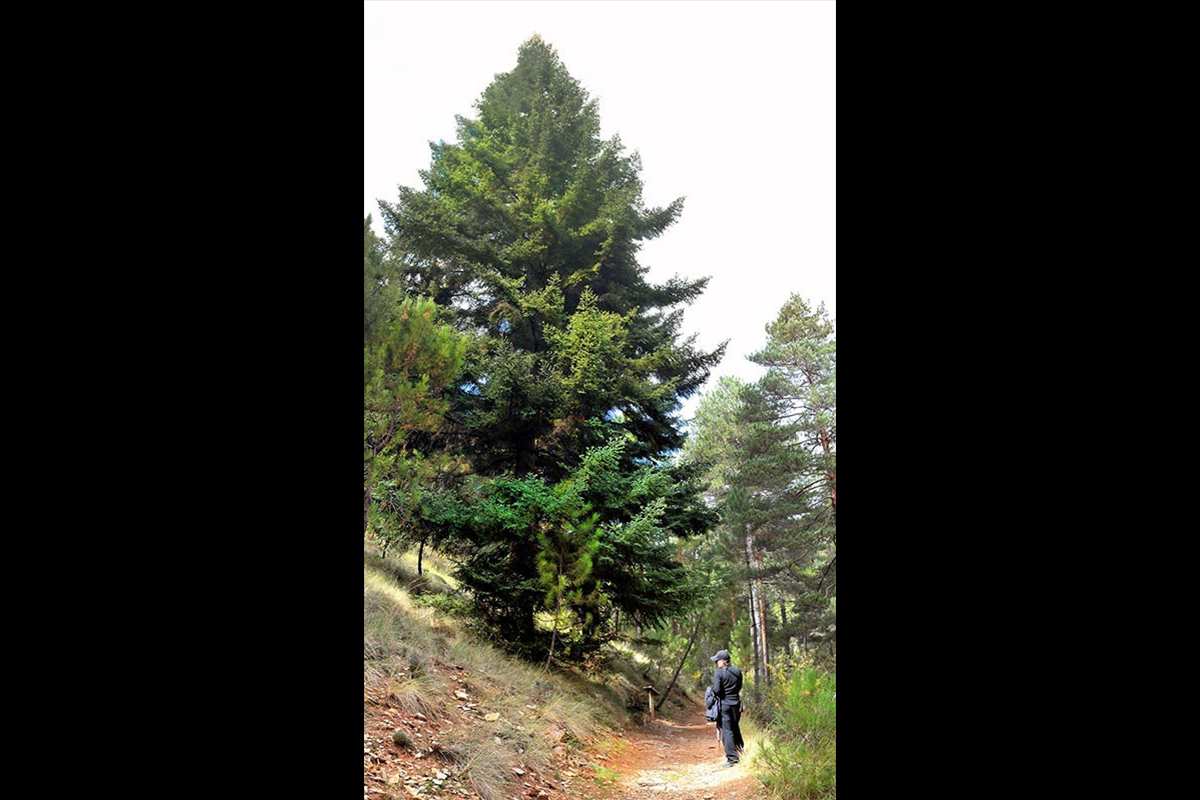 Sierra de Huétor