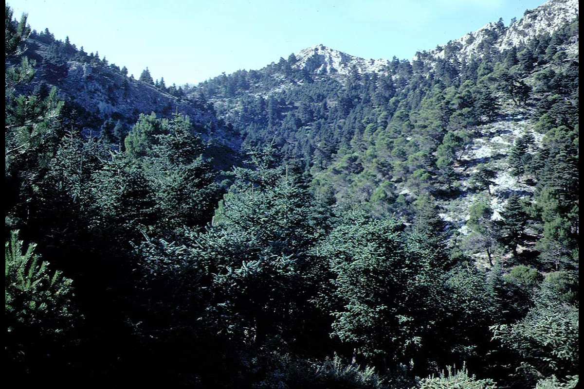 Sierra_de_las_Nieves