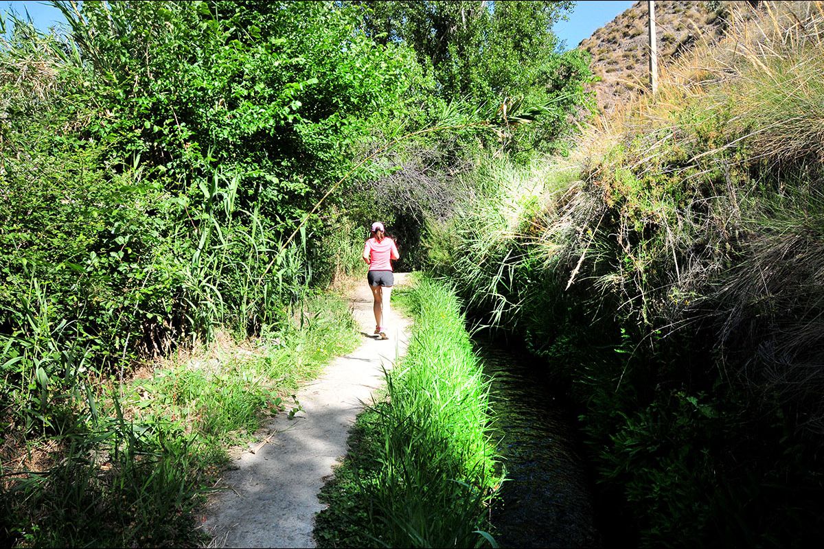 Acequia del Albaricoque o Acequia de la Estrella