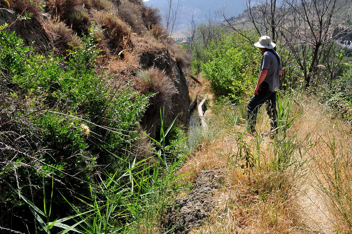 Acequia del Albaricoque o Acequia de la Estrella