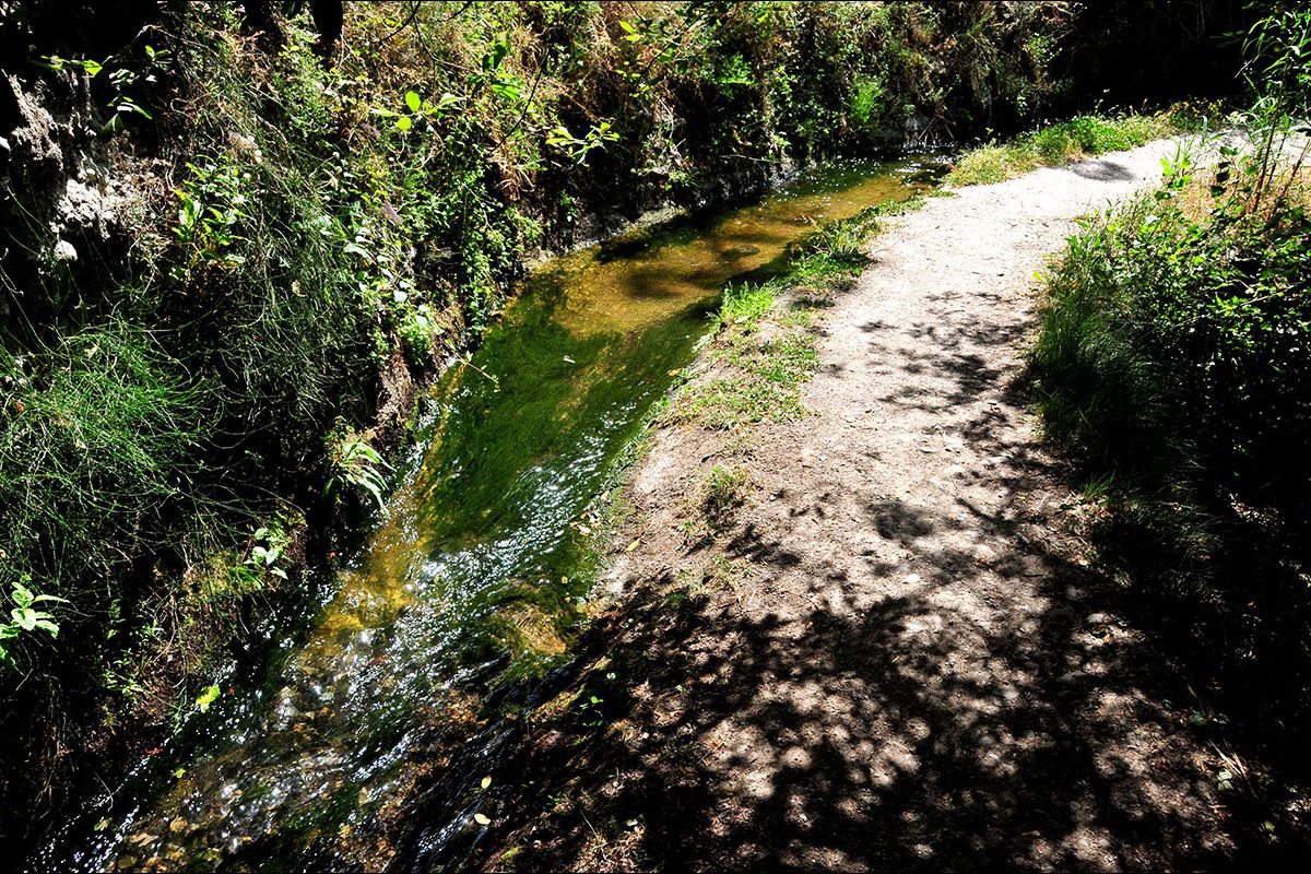 Acequia del Albaricoque o Acequia de la Estrella