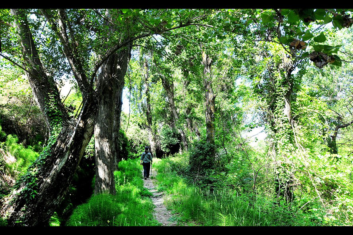 Acequia del Albaricoque o Acequia de la Estrella