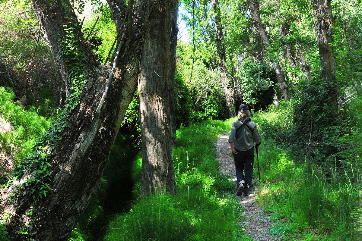 Acequia del Albaricoque o Acequia de la Estrella