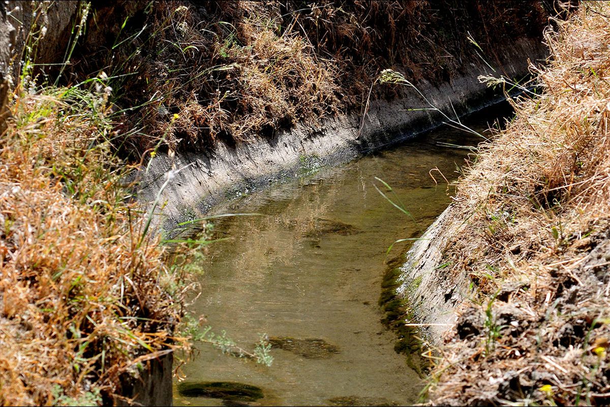 Acequia del Albaricoque o Acequia de la Estrella