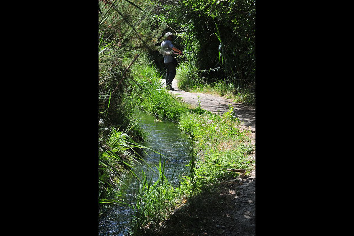 Acequia del Albaricoque o Acequia de la Estrella