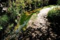 Acequia del Albaricoque o Acequia de la Estrella