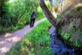 Acequia del Albaricoque o Acequia de la Estrella