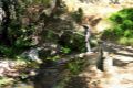 Acequia del Albaricoque o Acequia de la Estrella